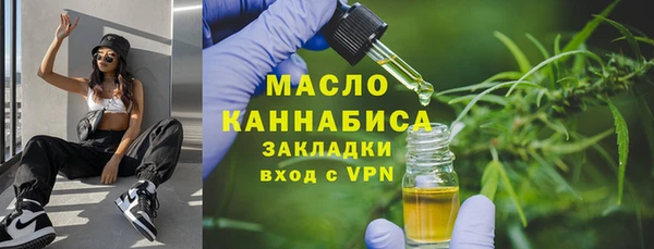 сатива Аркадак