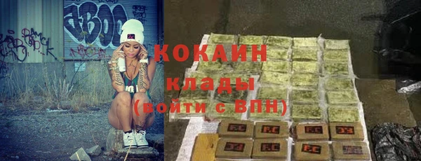 индика Няндома